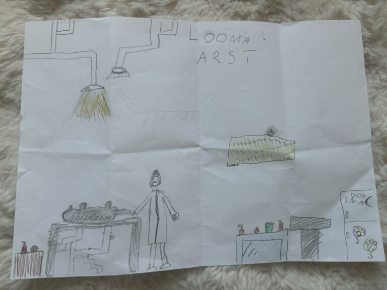 Miina-Ly-Salm_Vaana-Moisakool_8a_joonistus