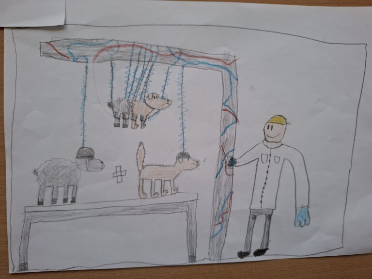 inbound1913409175486786284